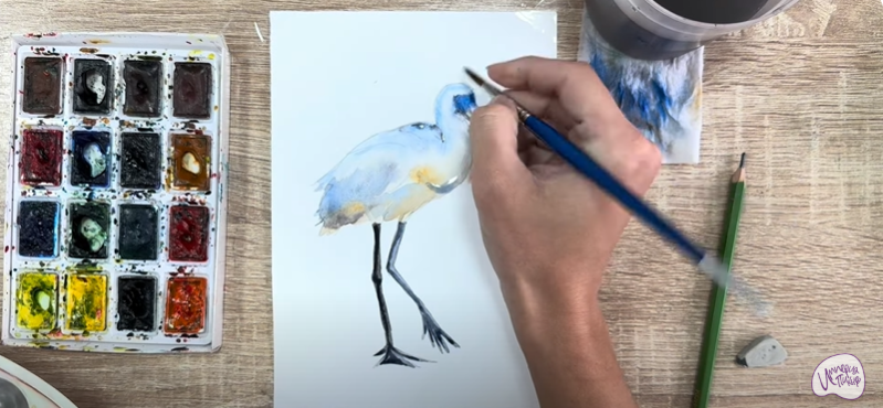 Рисуем Колпица Рисуем Колпица