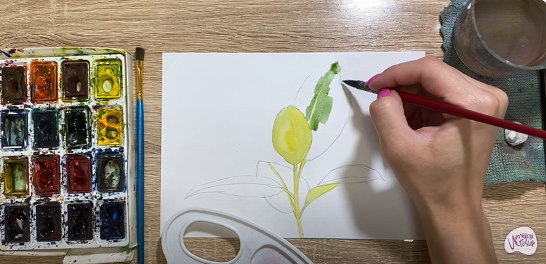 Рисуем Фикус