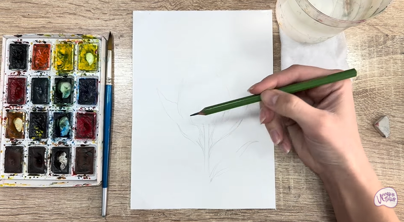 Рисуем Целозия