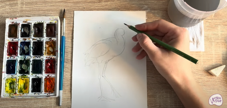 Рисуем Колпица Рисуем Колпица