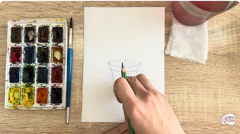 Рисуем Криптомерия японская