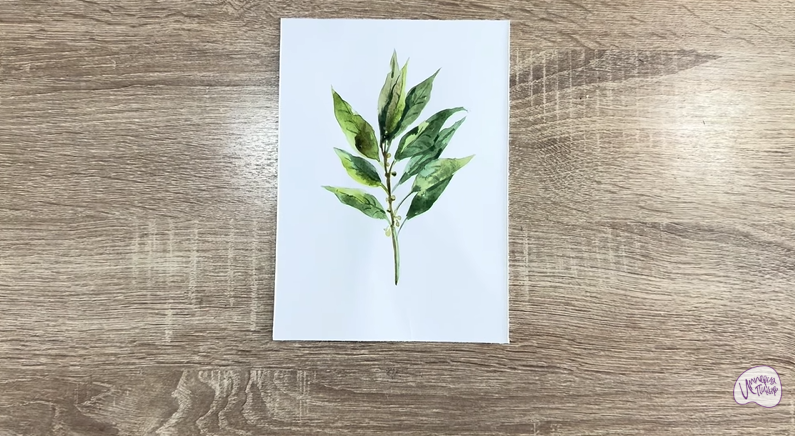 Рисуем Лавровый лист