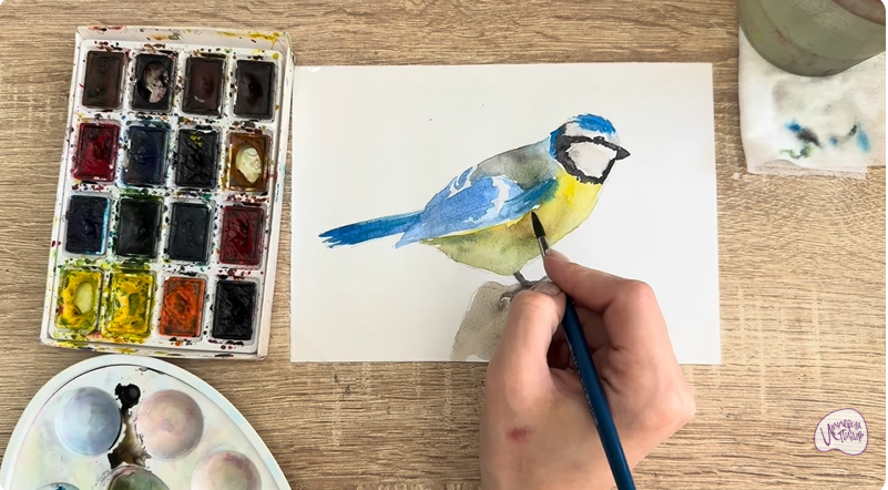 Рисуем Обыкновенная лазоревка