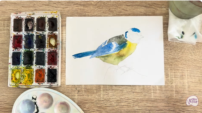 Рисуем Обыкновенная лазоревка