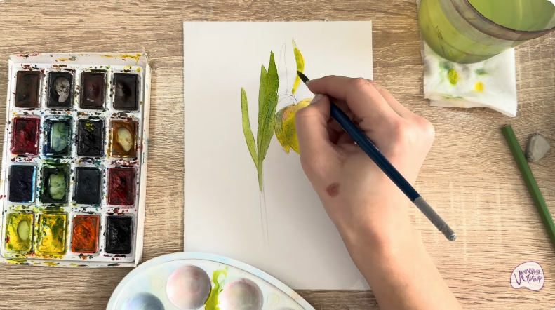 Рисуем Желтый рябчик