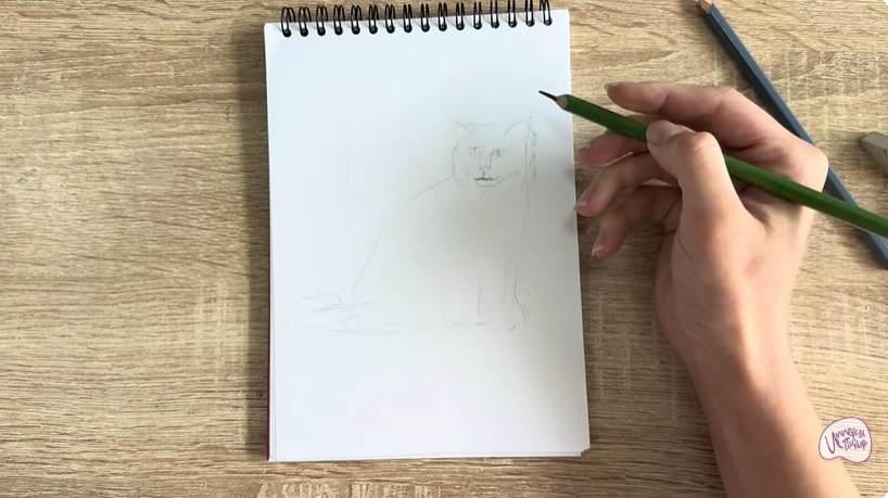 Рисуем Кошка породы Рэгдолл
