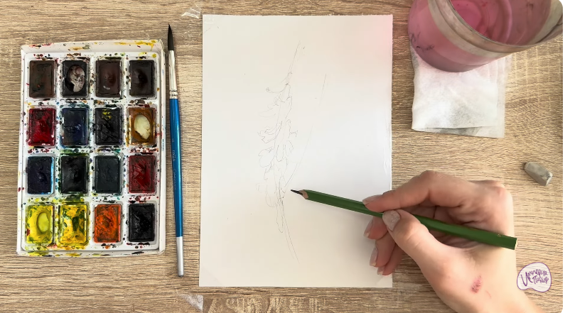 Рисуем Мышиный горошек