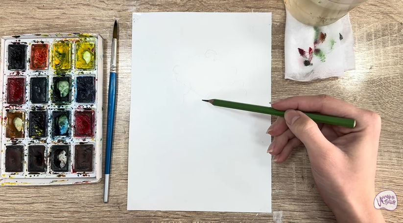 Рисуем Пижма