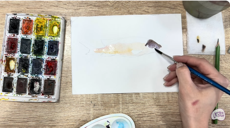 Рисуем Чернокрапчатый ворчун