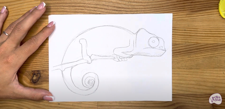 Рисуем Хамелеон