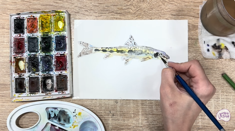 Рисуем Ленский пескарь