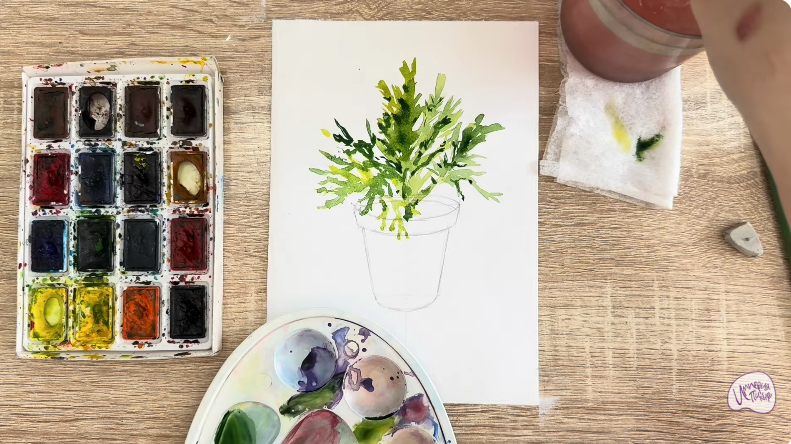 Рисуем Криптомерия японская