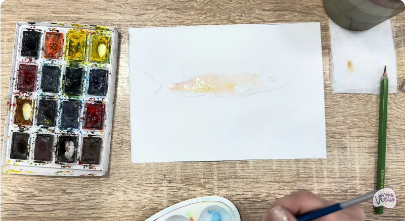 Рисуем Чернокрапчатый ворчун