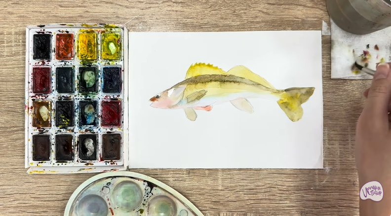 Рисуем Берш