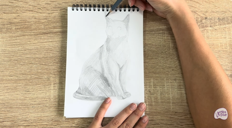 Рисуем Бурманский кот Рисуем Бурманский кот