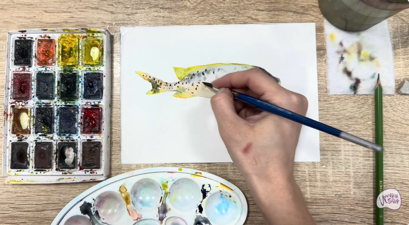 Рисуем Чернокрапчатый ворчун