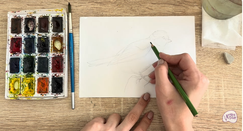 Рисуем Обыкновенная лазоревка