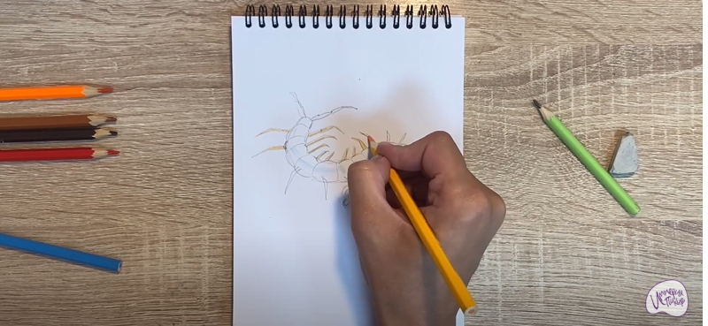 Рисуем Сороконожка