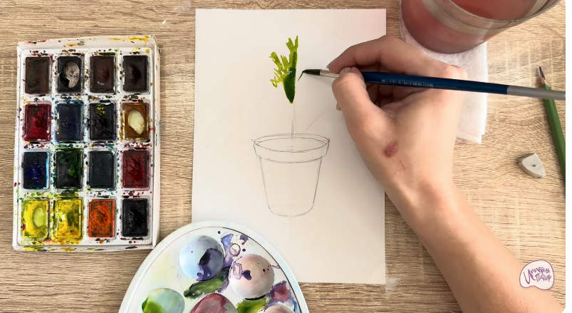 Рисуем Криптомерия японская