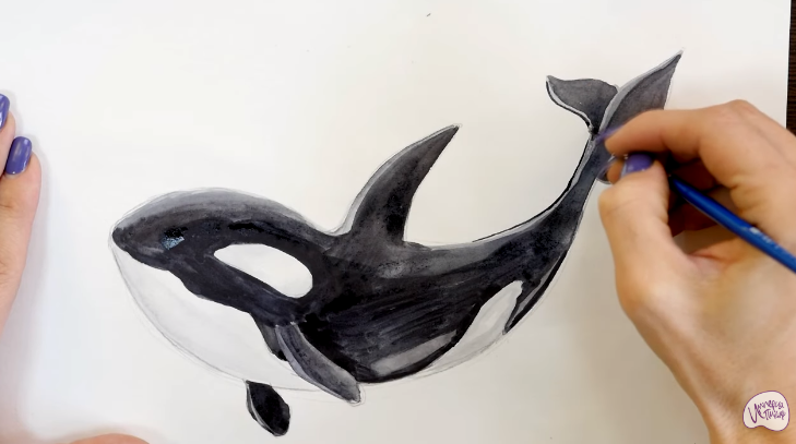 Рисуем Касатка