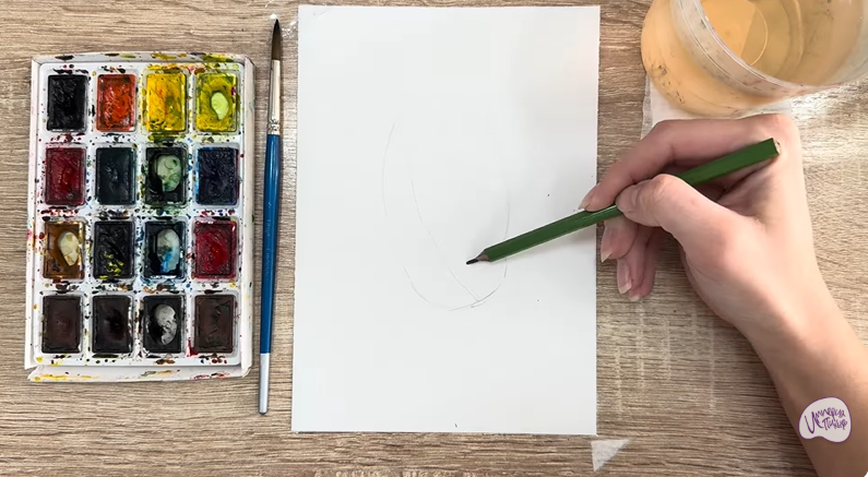 Рисуем Акебия