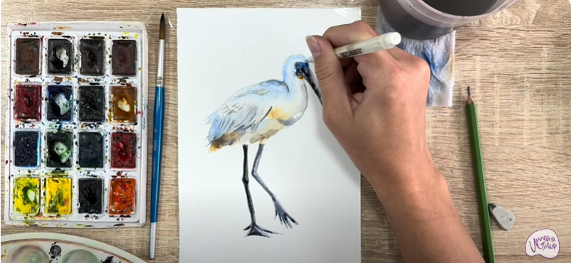 Рисуем Колпица Рисуем Колпица