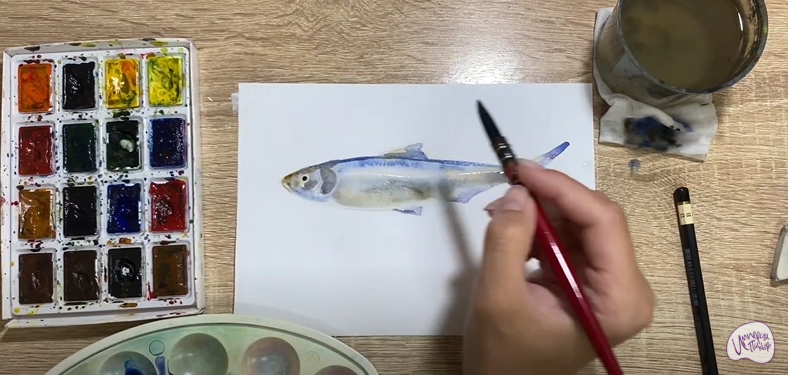 Рисуем Салака