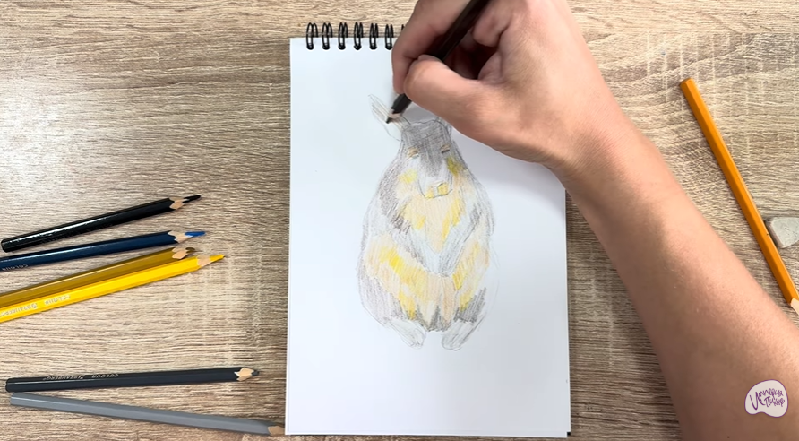 Рисуем Горная вискаша