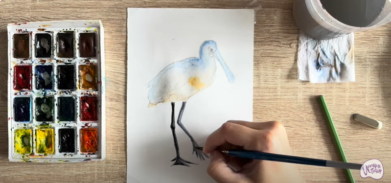 Рисуем Колпица Рисуем Колпица