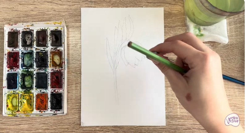 Рисуем Желтый рябчик