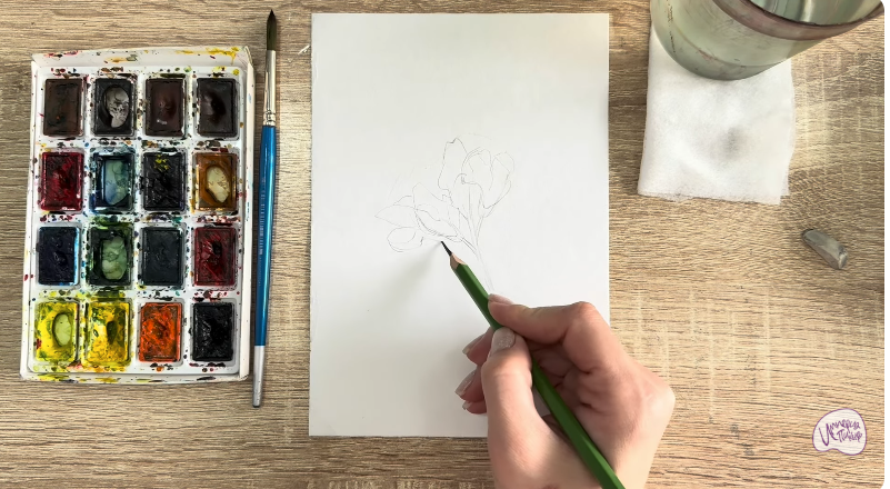 Рисуем Чина луговая