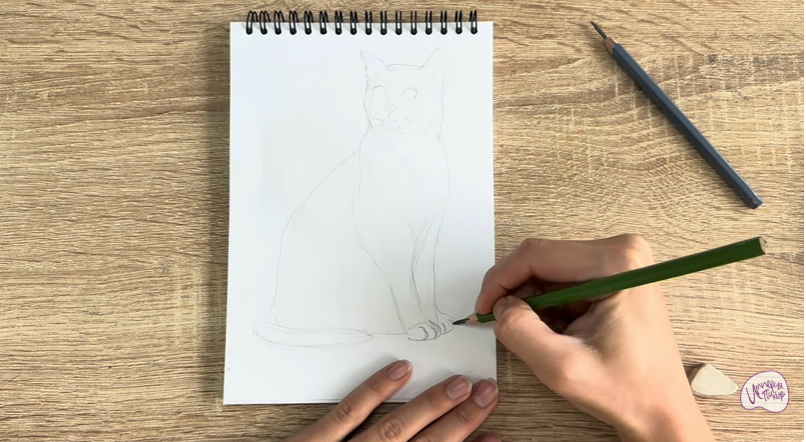 Рисуем Бурманский кот Рисуем Бурманский кот