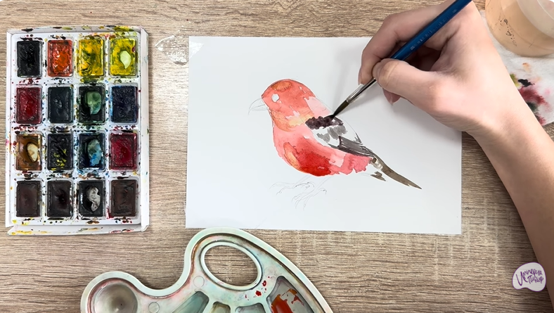 Рисуем Клест - еловик