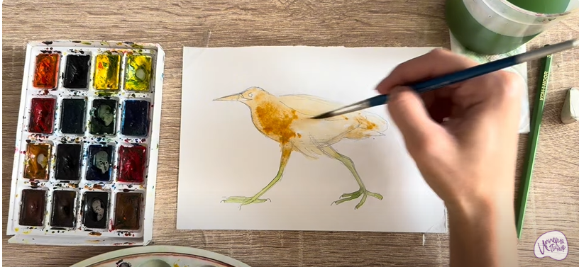 Рисуем Выпь Рисуем Выпь