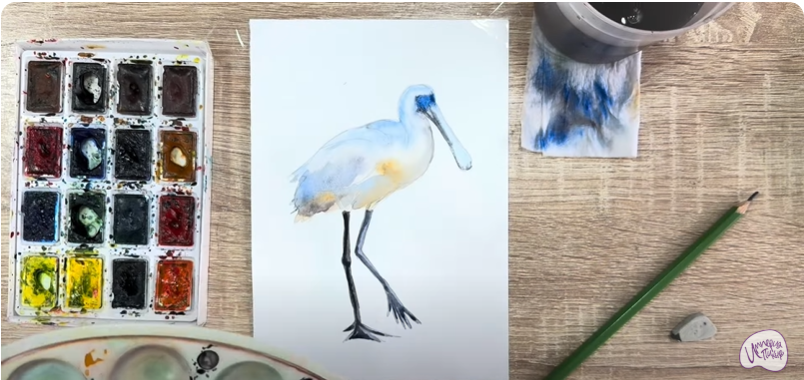 Рисуем Колпица Рисуем Колпица