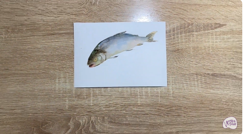 Рисуем Голец