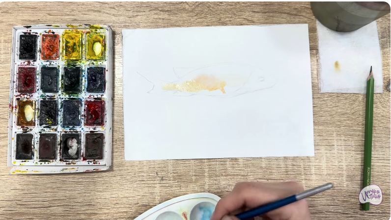 Рисуем Чернокрапчатый ворчун