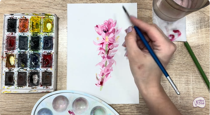 Рисуем Мирикария лисохвостая