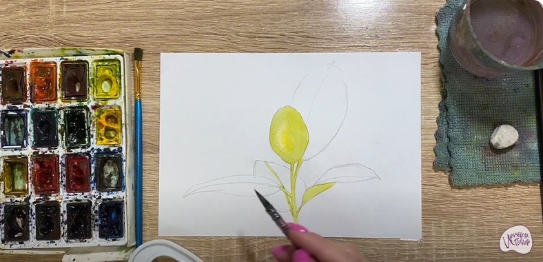 Рисуем Фикус