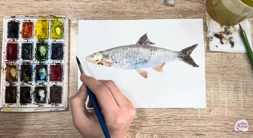 Рисуем Подуст