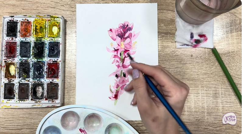 Рисуем Мирикария лисохвостая