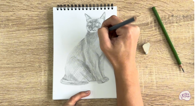 Рисуем Бурманский кот Рисуем Бурманский кот