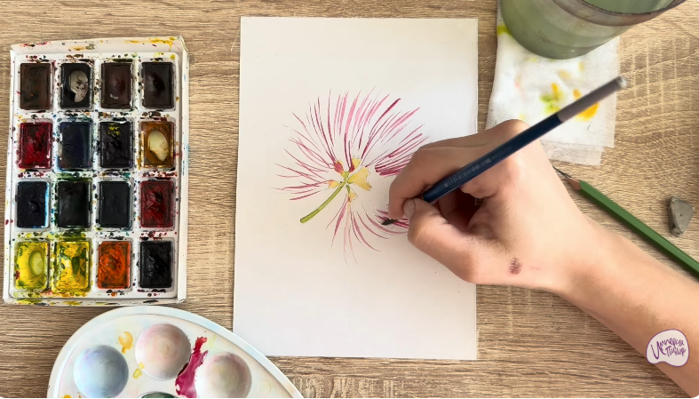 Рисуем Альбиция