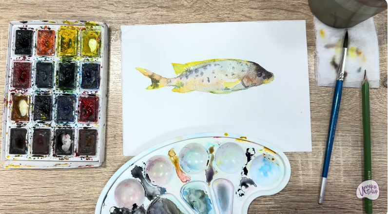 Рисуем Чернокрапчатый ворчун