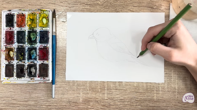 Рисуем Клест - еловик