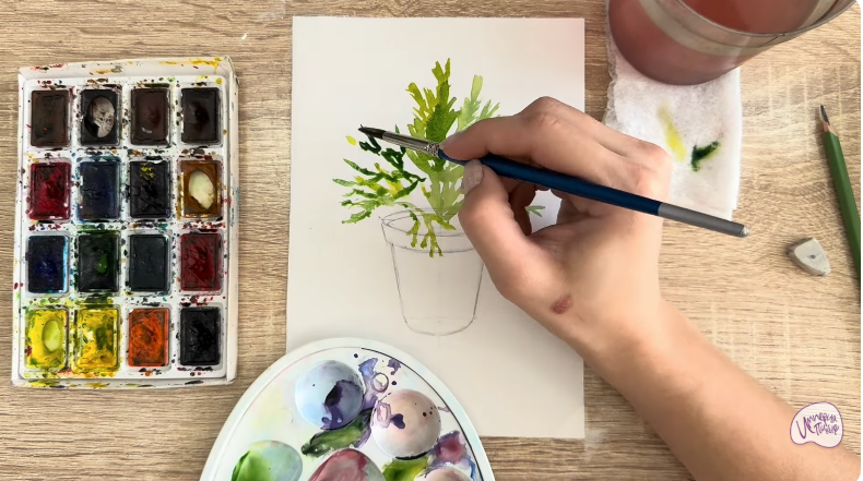 Рисуем Криптомерия японская