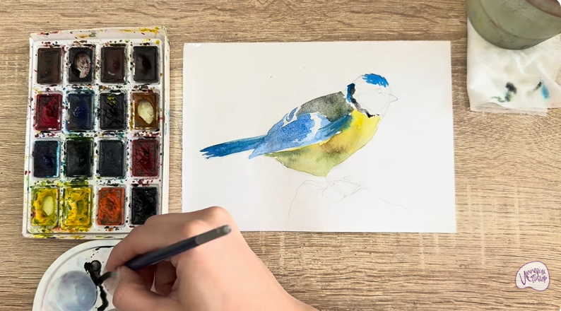 Рисуем Обыкновенная лазоревка