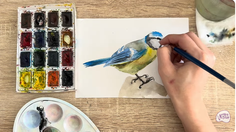 Рисуем Обыкновенная лазоревка