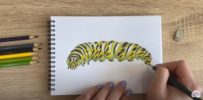 Рисуем Гусеница