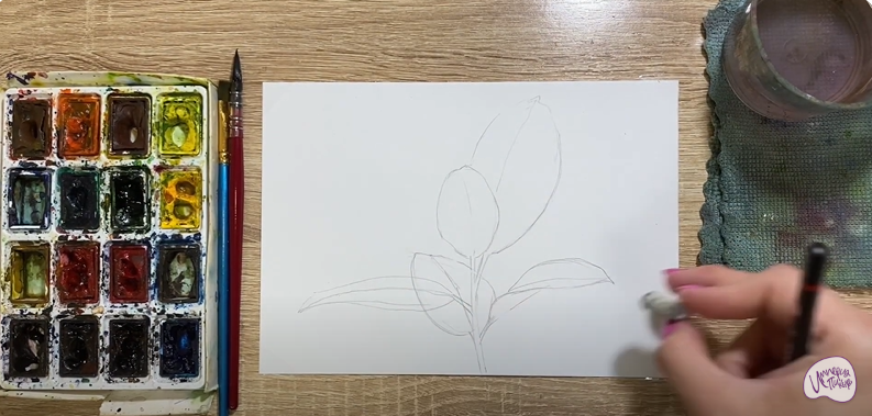 Рисуем Фикус